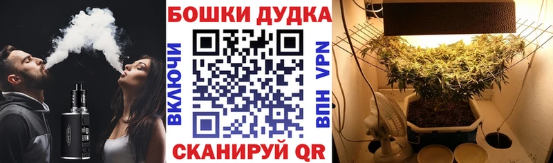 Купить наркотики цена Шацк Конопля APVP ГАШ МЕФ Cocaine