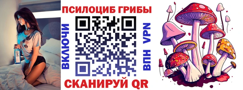 ОМГ ОМГ вход  Шацк  Галлюциногенные грибы ЛСД 
